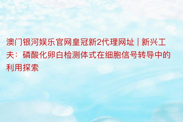 澳门银河娱乐官网皇冠新2代理网址 | 新兴工夫：磷酸化卵白检测体式在细胞信号转导中的利用探索