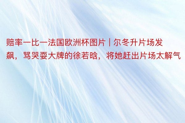 赔率一比一法国欧洲杯图片 | 尔冬升片场发飙，骂哭耍大牌的徐若晗，将她赶出片场太解气