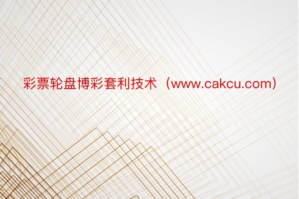 彩票轮盘博彩套利技术（www.cakcu.com）