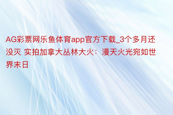 AG彩票网乐鱼体育app官方下载_3个多月还没灭 实拍加拿大丛林大火：漫天火光宛如世界末日