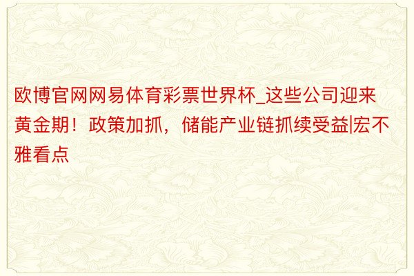 欧博官网网易体育彩票世界杯_这些公司迎来黄金期！政策加抓，储能产业链抓续受益|宏不雅看点
