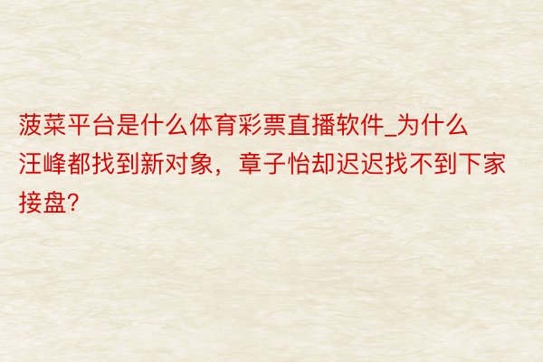 菠菜平台是什么体育彩票直播软件_为什么汪峰都找到新对象,章子怡却迟迟找不到下家接盘?
