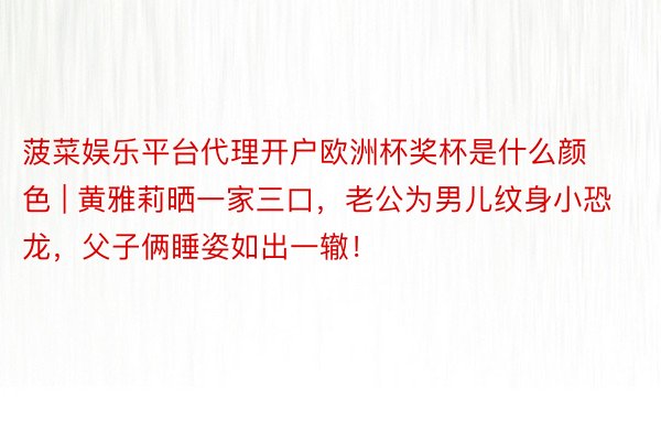 菠菜娱乐平台代理开户欧洲杯奖杯是什么颜色 | 黄雅莉晒一家三口,老公为男儿纹身小恐龙,父子俩睡姿如出一辙!